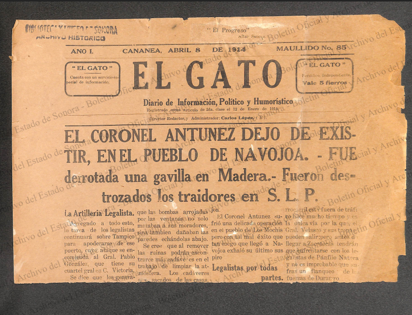 Ejemplar de El Gato