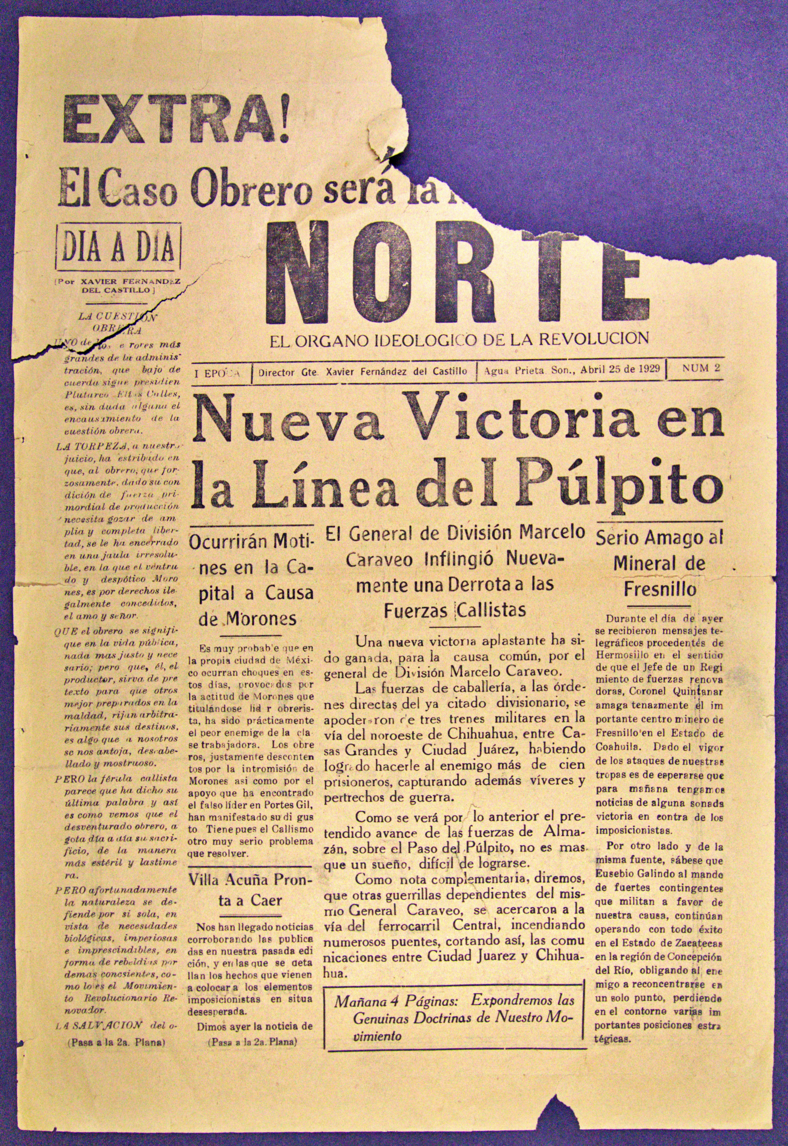 Ejemplar de Norte