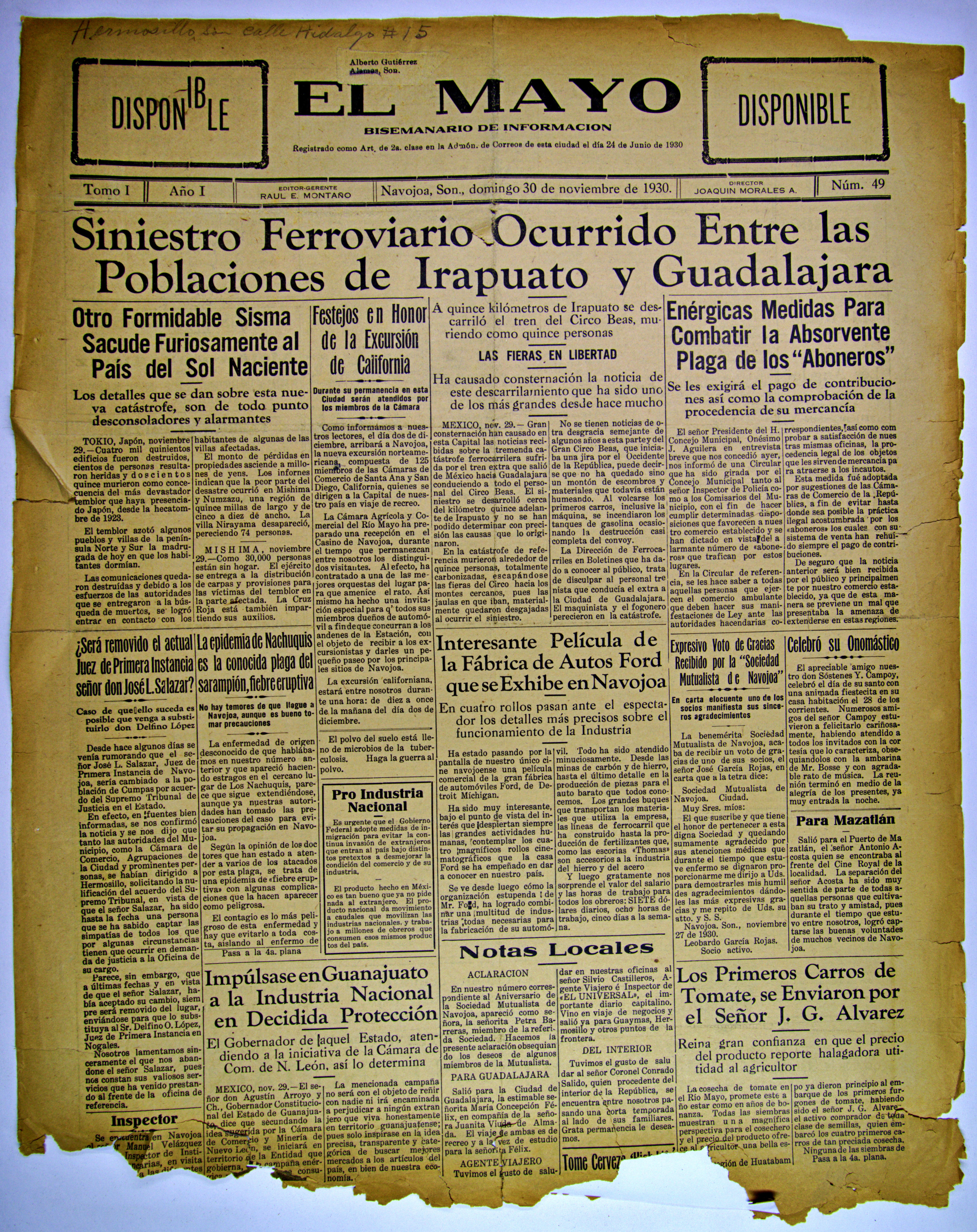 Ejemplar de El Mayo